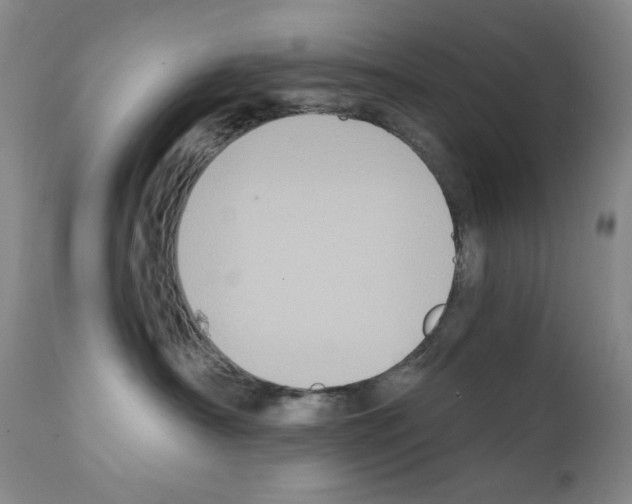 X0000111800430200909031233