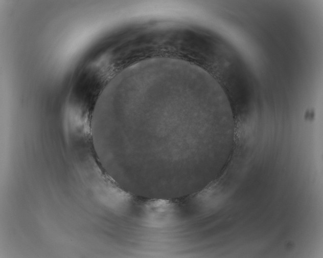 X0000111800431200909031233