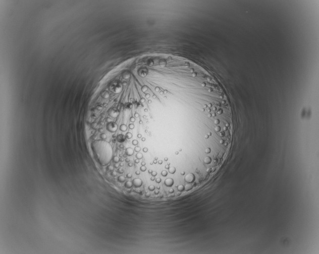 X0000111800432200909031233
