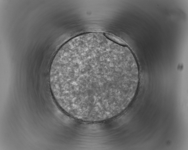 X0000111800433200909031233