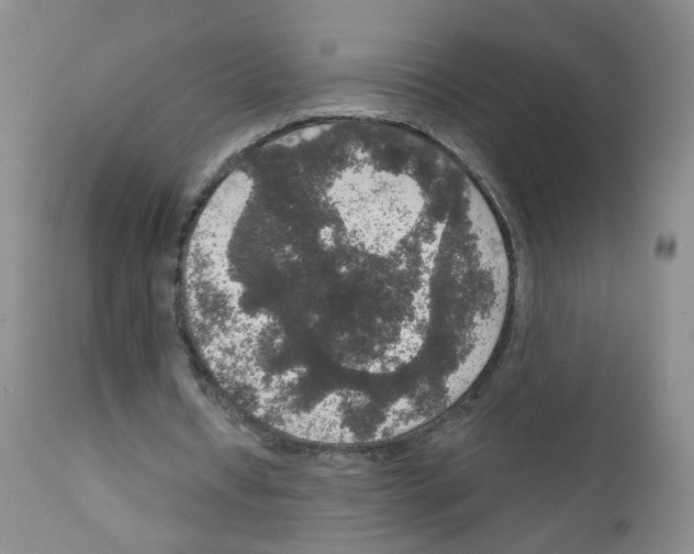 X0000111800434200909031233