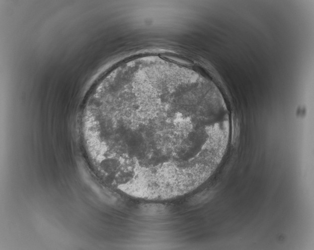 X0000111800435200909031233