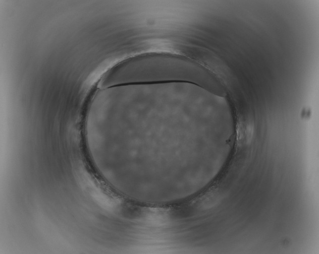 X0000111800436200909031233