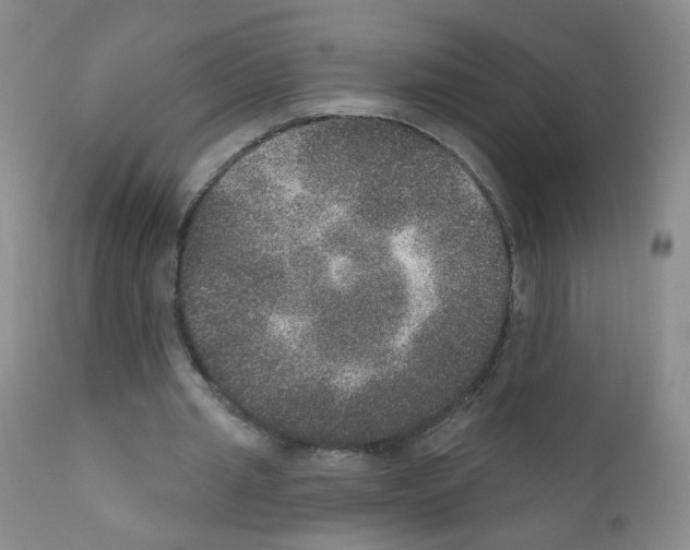 X0000111800437200909031233