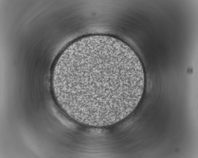 X0000111800439200909031233