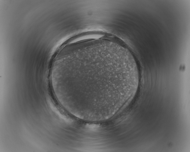 X0000111800440200909031233