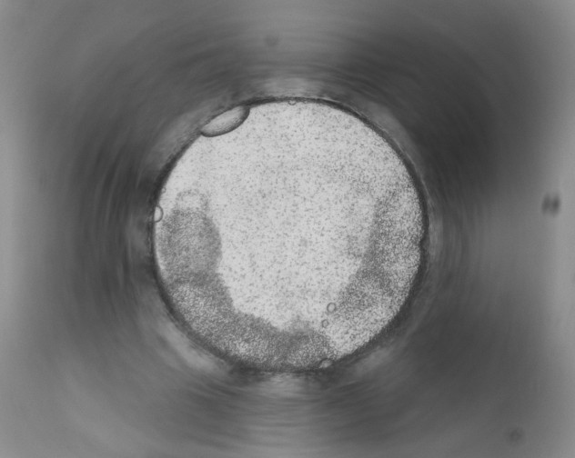 X0000111800441200909031233