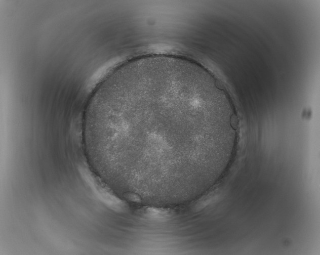 X0000111800442200909031233