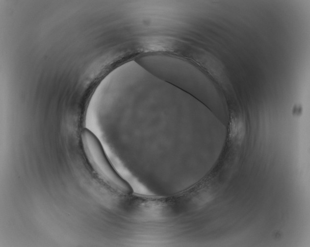 X0000111800444200909031233