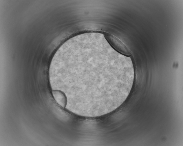 X0000111800445200909031233