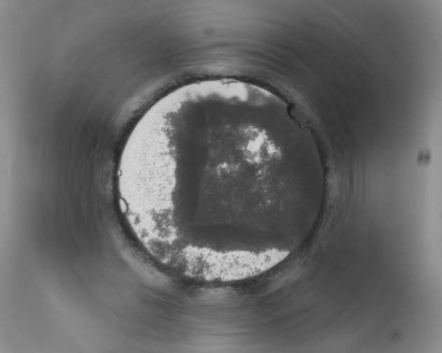 X0000111800446200909031233