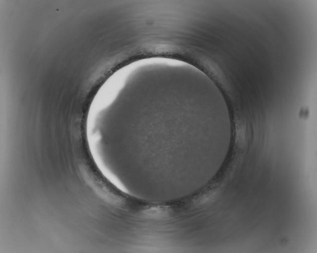 X0000111800447200909031233