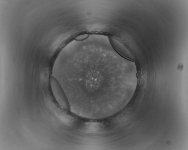 X0000111800448200909031233