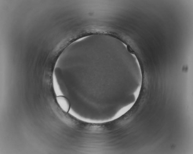 X0000111800449200909031233