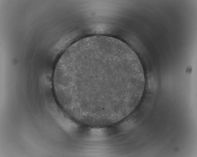 X0000111800450200909031233