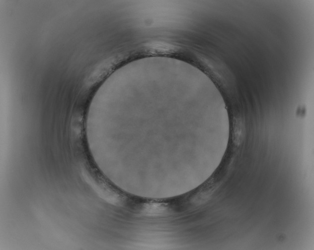 X0000111800451200909031233