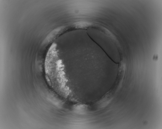 X0000111800452200909031233