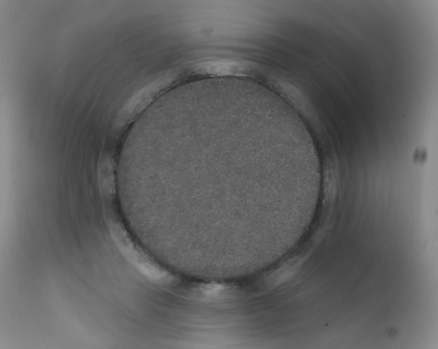 X0000111800453200909031233