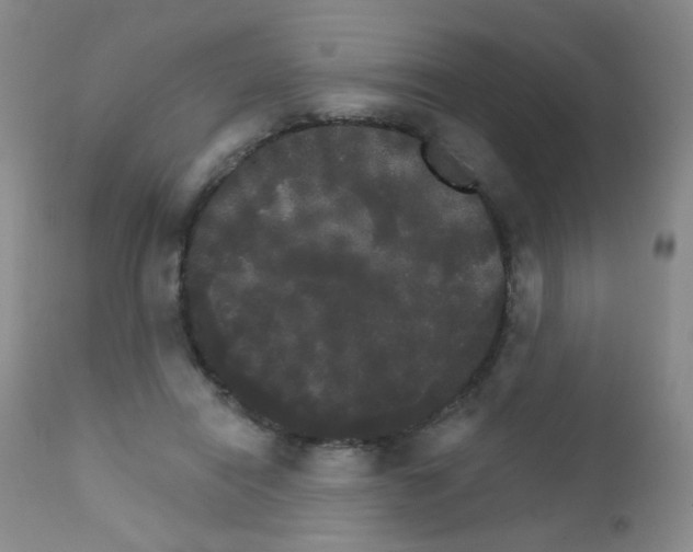 X0000111800454200909031233
