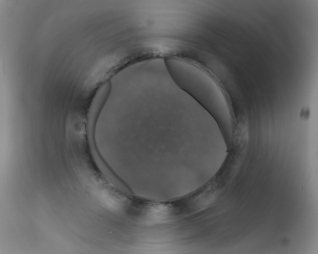 X0000111800456200909031233
