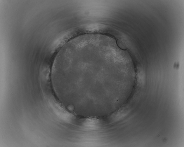 X0000111800458200909031233