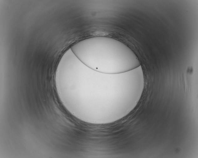 X0000111800460200909031233