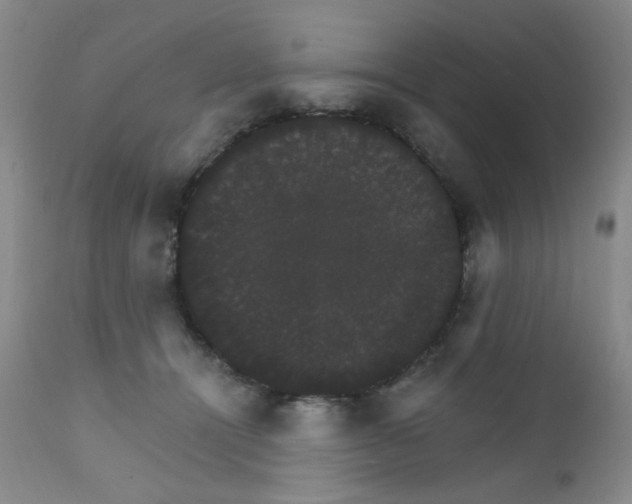 X0000111800464200909031233