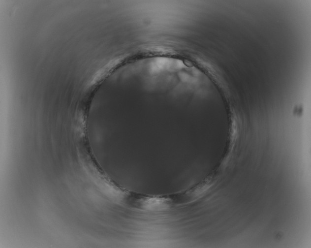 X0000111800465200909031233