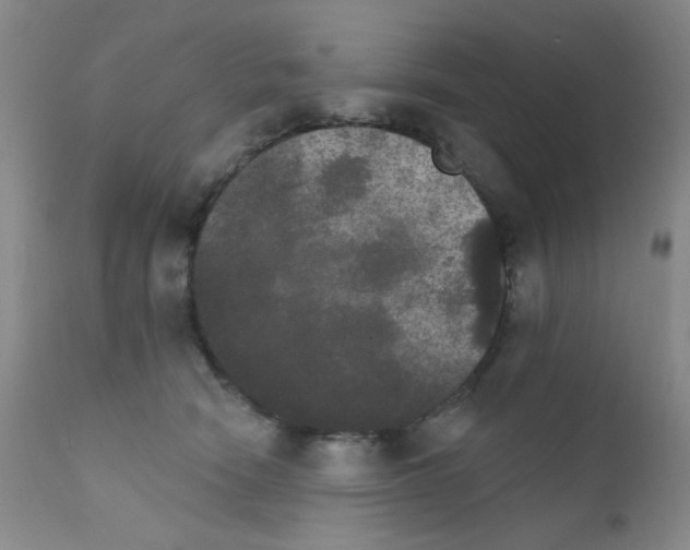 X0000111800466200909031233