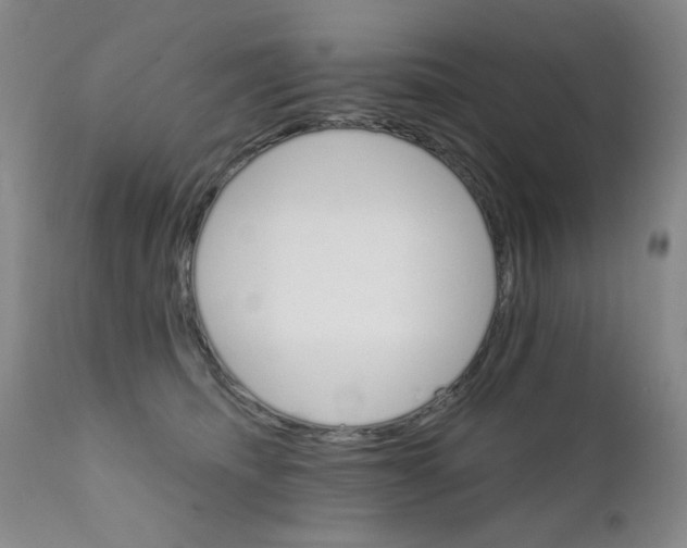 X0000111800468200909031233