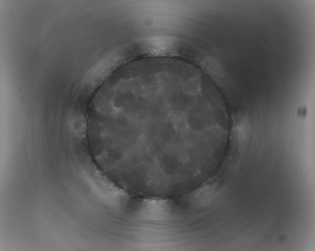 X0000111800469200909031233