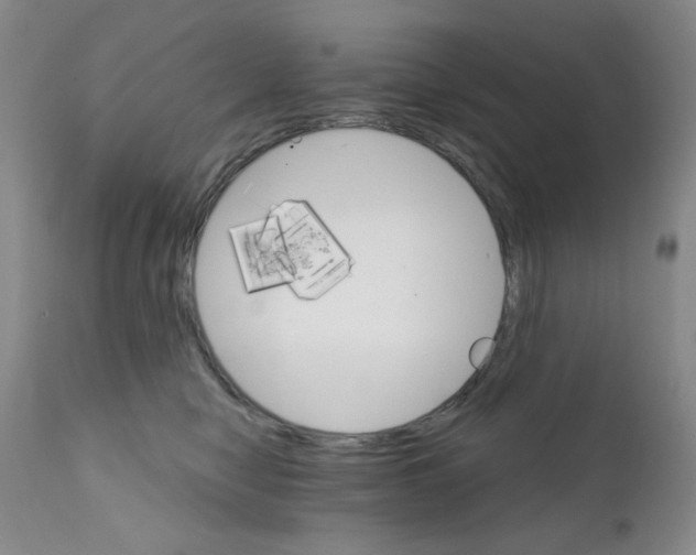 X0000111800470200909031233
