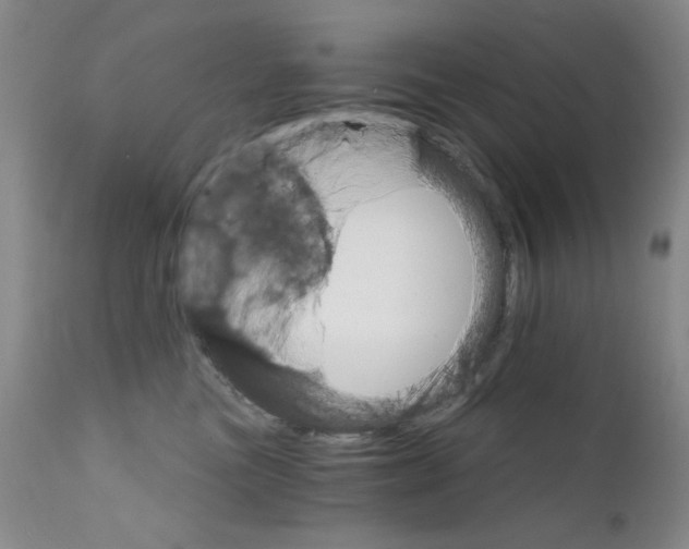 X0000111800473200909031233