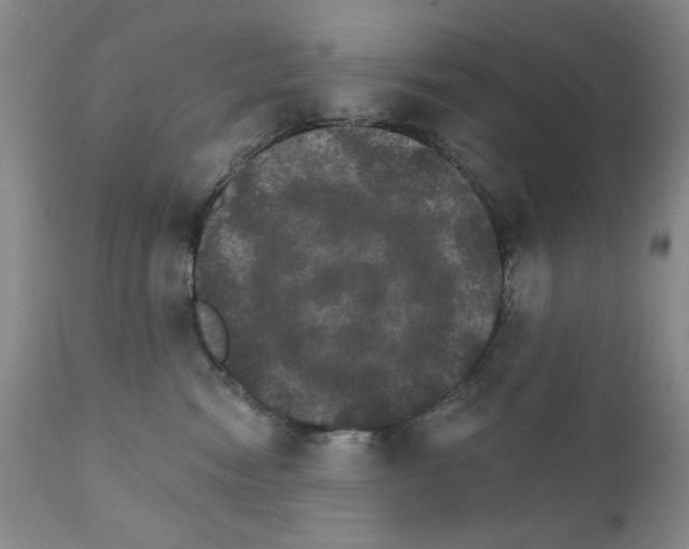 X0000111800474200909031233
