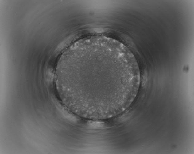 X0000111800476200909031233