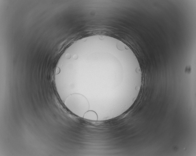 X0000111800478200909031233