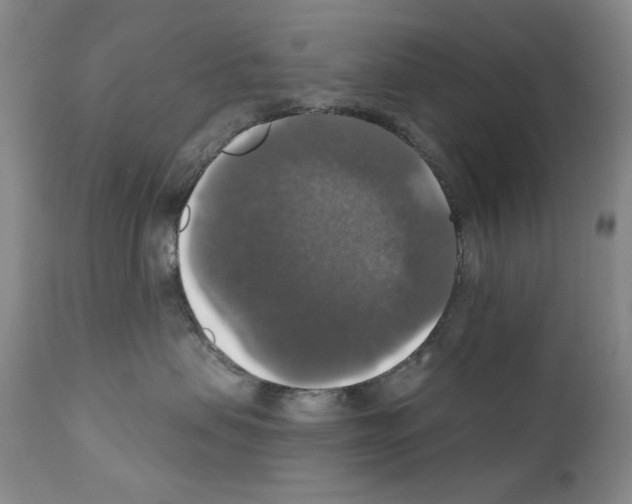 X0000111800479200909031233