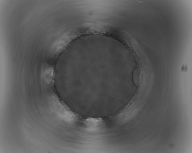 X0000111800480200909031233