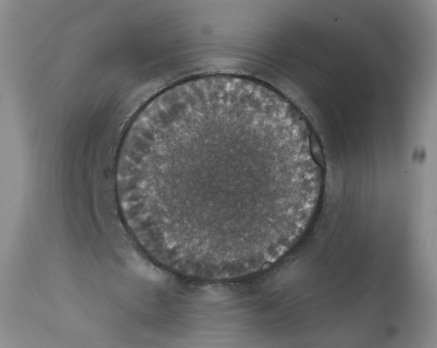 X0000111800481200909031233