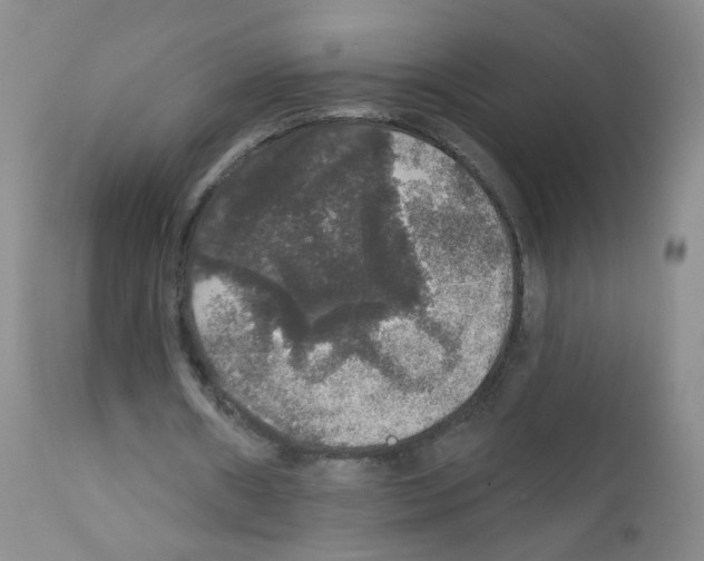 X0000111800482200909031233