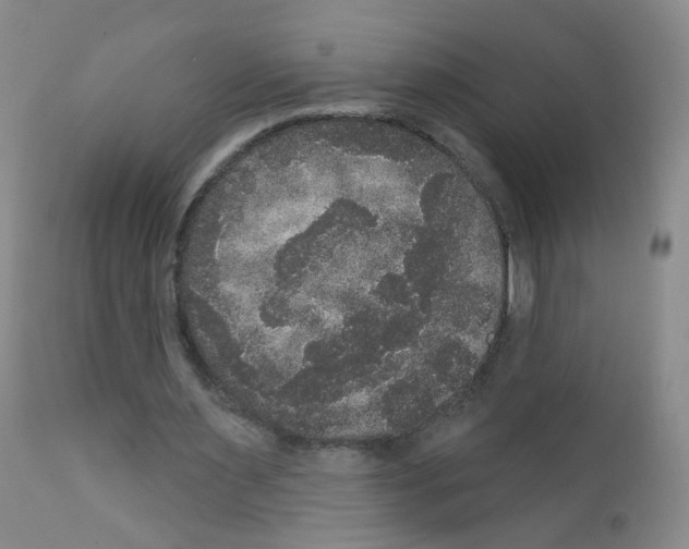 X0000111800483200909031233
