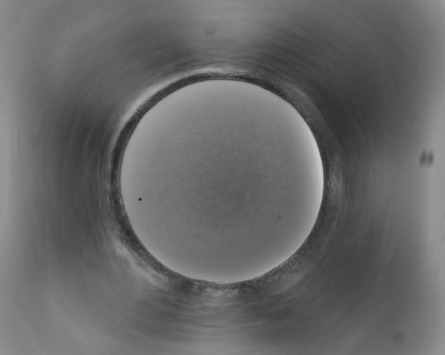 X0000111800484200909031233