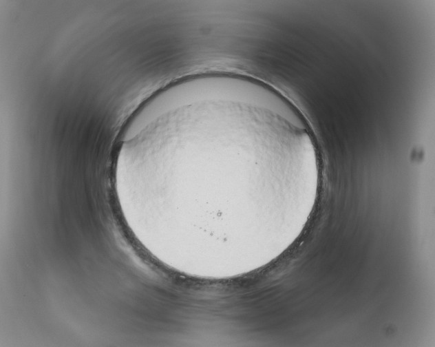 X0000111800485200909031232