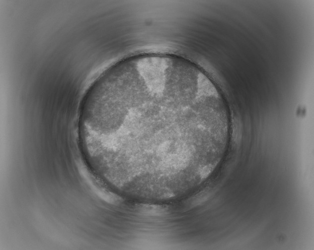 X0000111800486200909031232