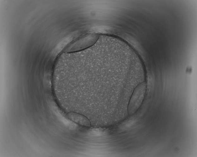 X0000111800489200909031232