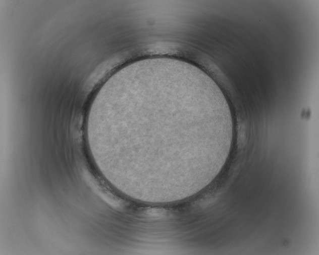 X0000111800490200909031232