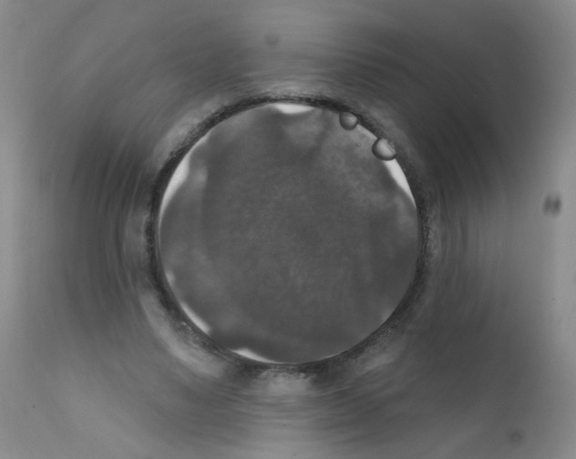 X0000111800491200909031232