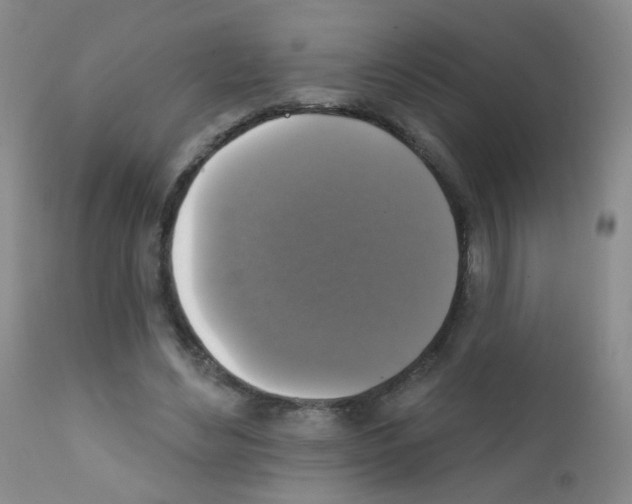 X0000111800492200909031232