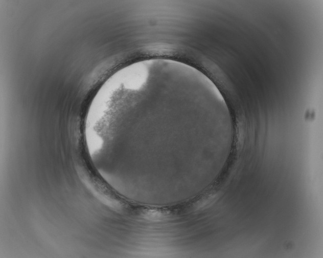 X0000111800494200909031232