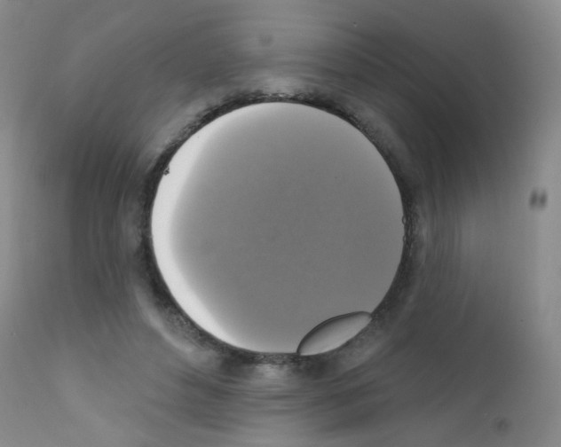 X0000111800496200909031232